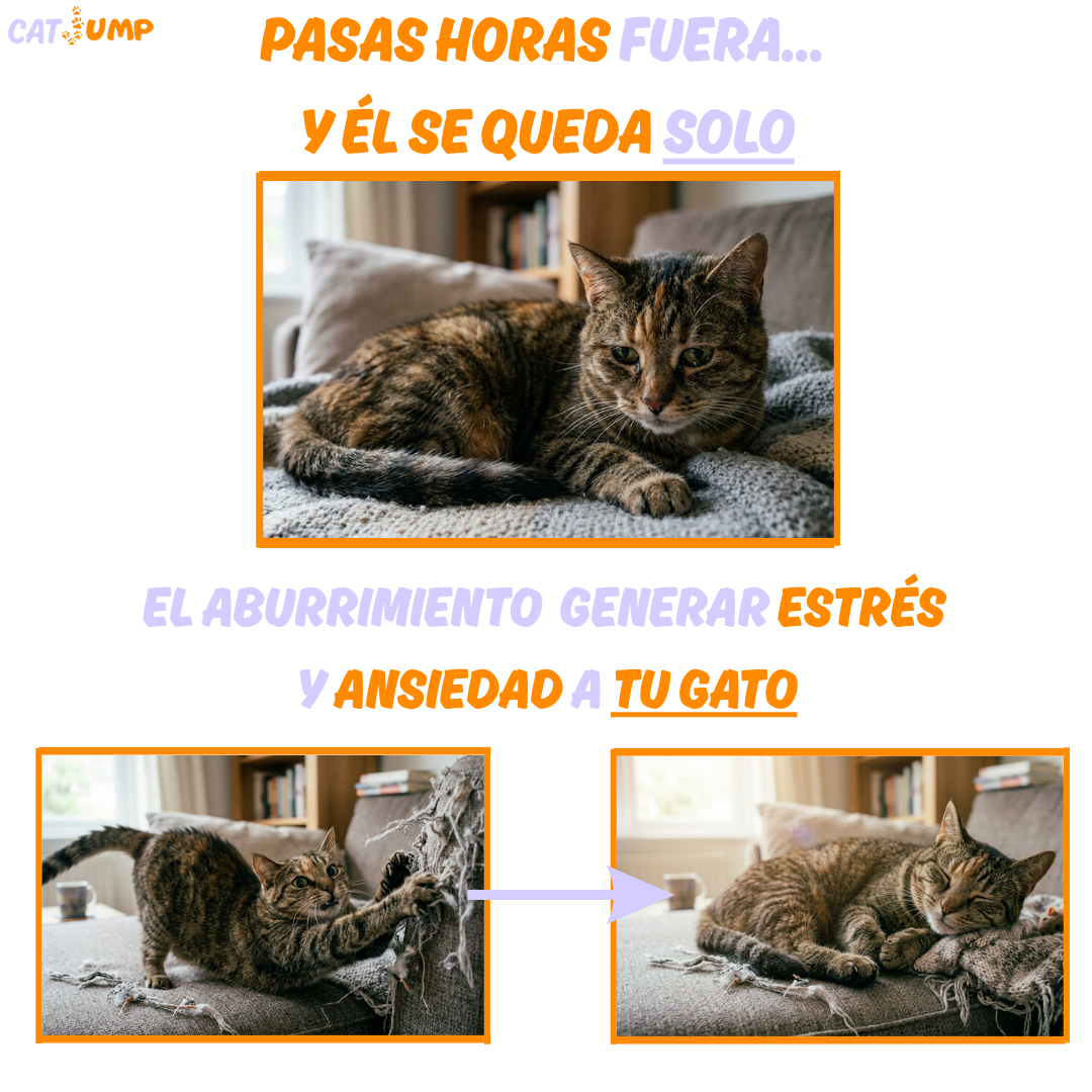 Bola Interactiva para Gatos de Interior