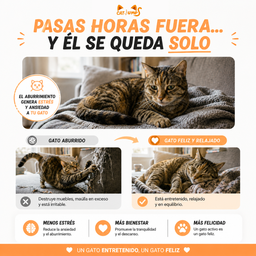 Murciélago Volador Interactivo para Gatos